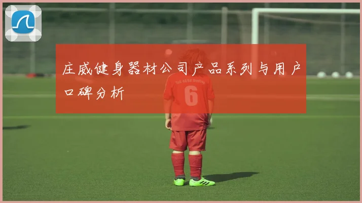 庄威健身器材公司产品系列与用户口碑分析