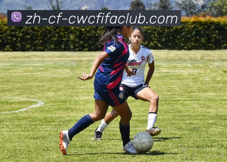 世界杯竞猜品牌故事