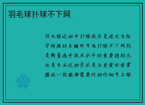 羽毛球扑球不下网