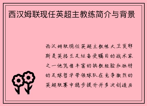 西汉姆联现任英超主教练简介与背景